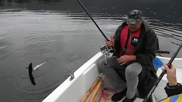 Рыбалка в Норвегии смотреть онлайн