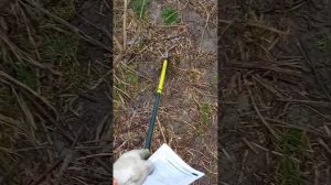 Обзор измельчителя древесины  Champion SH 280