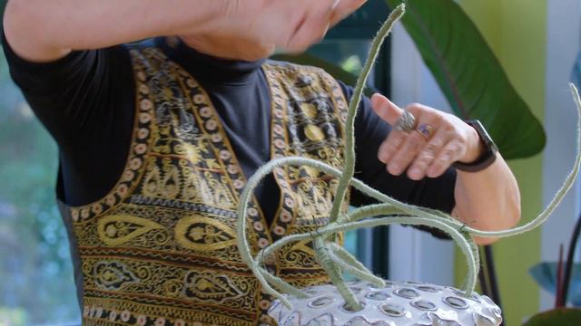 DESIGNING IN ACCENT DECOR'S LOTUS POD VASE (PART I) Tips & Techniques with Hitomi Gilliam AIFD смотреть онлайн