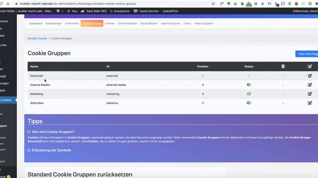 Borlabs Cookie Plugin in WordPress einrichten смотреть онлайн