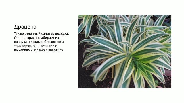 2 декабря 2020 г. смотреть онлайн