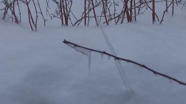 ВЯЖУ КОВРИК из ОСТАТКОВ ПРЯЖИ.?ПОГОДА ШЕПЧЕТ... смотреть онлайн