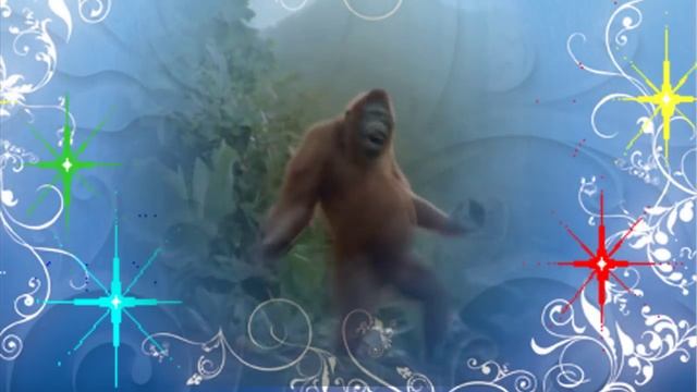 Волшебных праздников и счастья вам ,друзья!!!