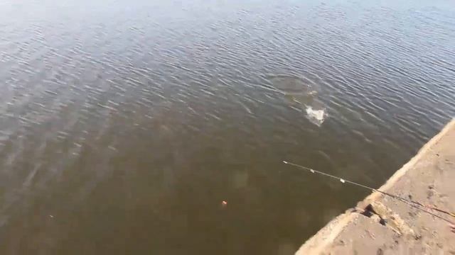 утренняя зорька смотреть онлайн