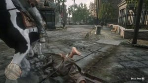 Red Dead Redemption 2: Lasso'd