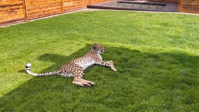 Месси и Герда налаживают отношения смотреть онлайн