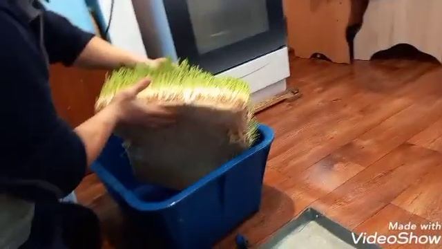 ГИДРОПОНИКА - ҚҰНАРЛЫ АЗЫҚ