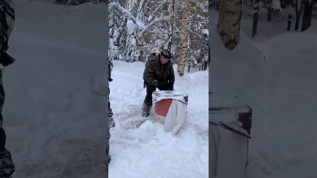 Как мы кормили зверей в лесу. смотреть онлайн