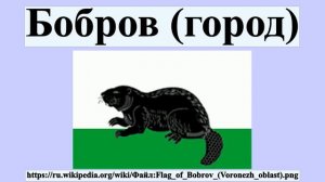 Бобров (город)