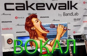 Cakewalk by BandLab работаем с Вокалом