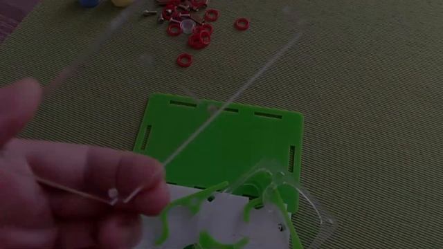 The Black Garden Ants | Lasius Niger after 3 Years смотреть онлайн