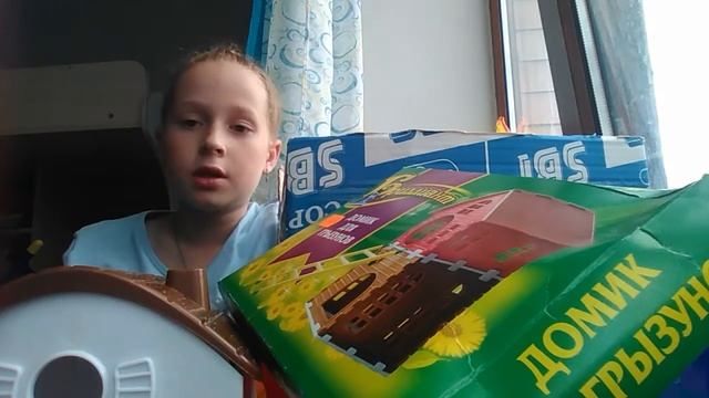 Как правильно ухаживать за джунгарскими хомячками смотреть онлайн