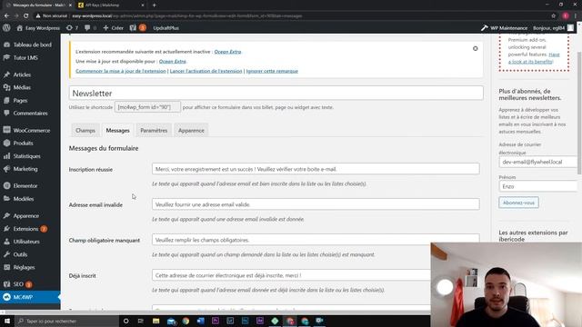 Comment intégrer rapidement un formulaire Newsletter Mailchimp sur Wordpress ? смотреть онлайн