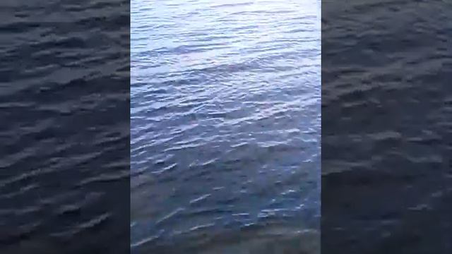 Озеро Катарколь смотреть онлайн