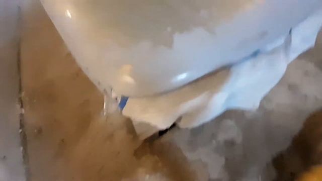 Ремонтный Камертон