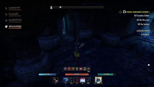 ESO Tank POV: Red Petal Bastion Trifecta Guide- of the Silver Rose (Two Tank Strategy) смотреть онлайн