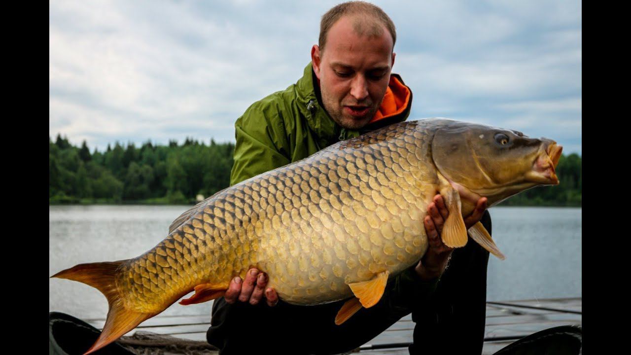 Чемпионат Москвы по карпфишингу 2015. Двойка Carptoday