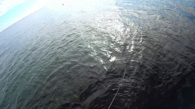 Ставрида на отводной.Саган на пилькера и попловок.Успешная рыбалка в безклевье. смотреть онлайн