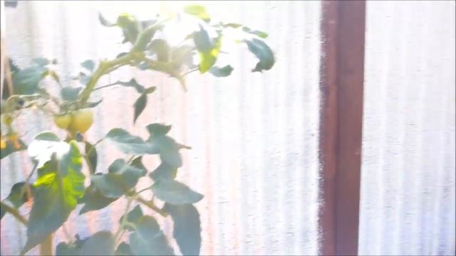 Освоение целины - три года спустя смотреть онлайн