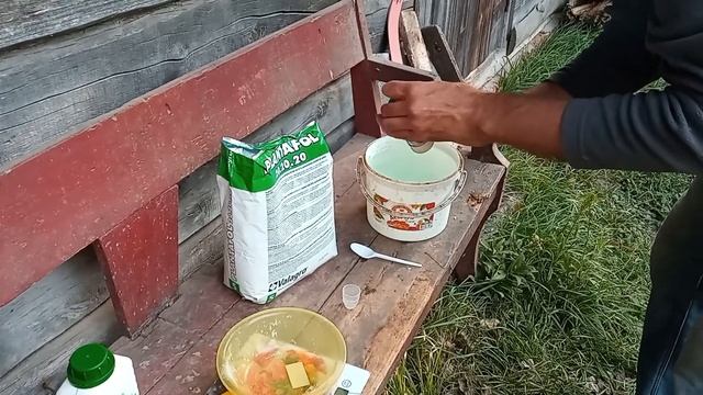 #касетнаяальба Обработка, подкормка клубники. У нас появилась "Альба": сорт клубники и не только... смотреть онлайн