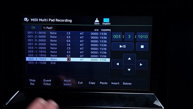 Multipads   Loop Emulation