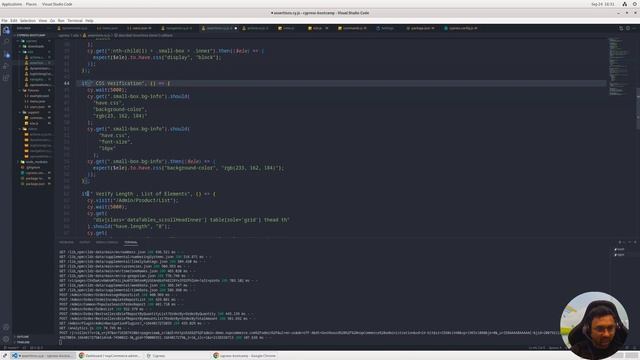 Assertions In Cypress смотреть онлайн