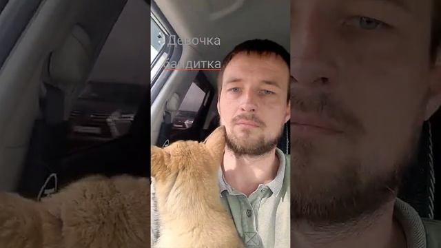 хватит по Москве тусить)) пора бы и в лес смотреть онлайн