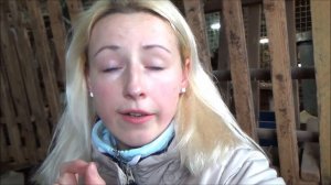 Куры клюют яйца что делать? Куры несушки - расклёв яиц у кур, почему и как бороться. Диагноз раскле