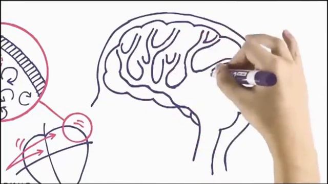 Что такое тромб ?