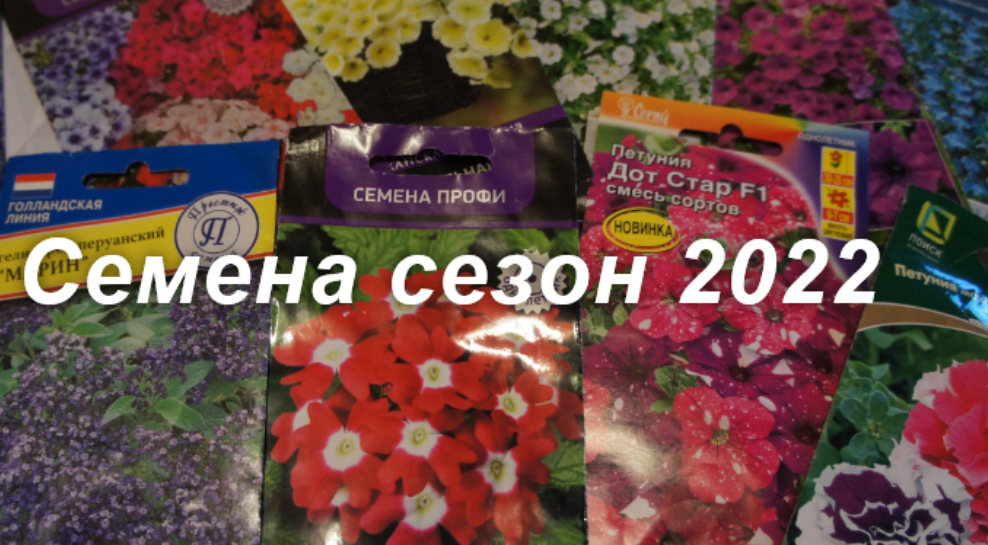 Семена цветов сезон 2022 смотреть онлайн