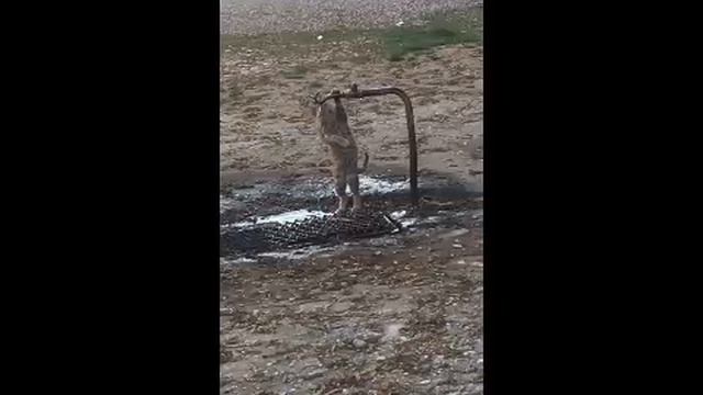 Жажда - ФСЁ !!! смотреть онлайн