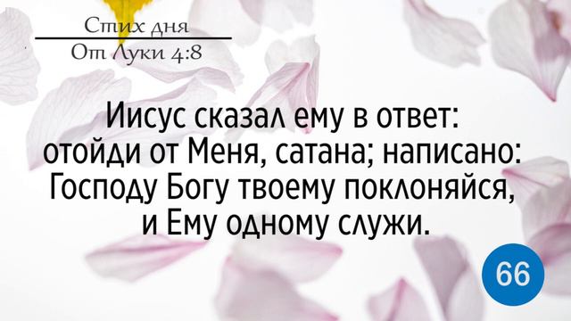 Тефиллин. От Луки 4:8. Повторение стихов 100 раз смотреть онлайн