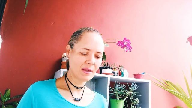 TRASPLANTES DE HIJUELOS DE SUCULENTAS.