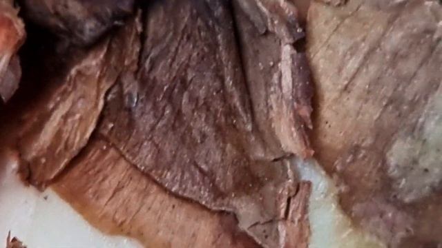 как искать клещей в луковицах гиппеаструмов. смотреть онлайн