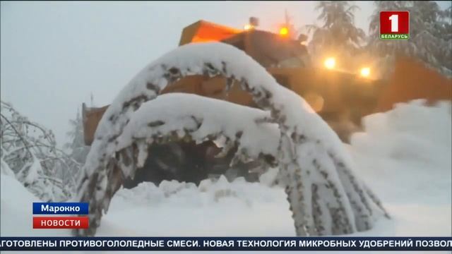 В Марокко пришла зима смотреть онлайн