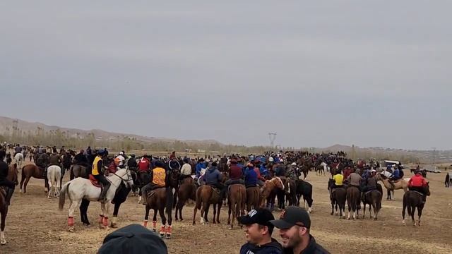 11 ноября 2023 г. смотреть онлайн