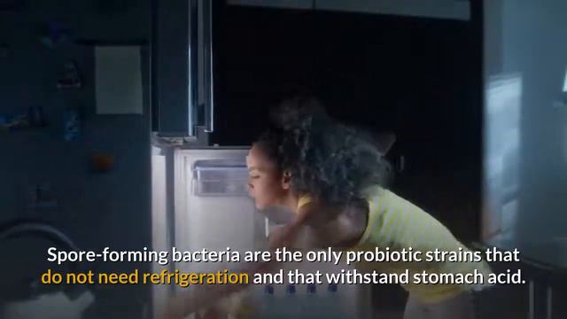 Best Probiotics Supplement for Weight Loss смотреть онлайн