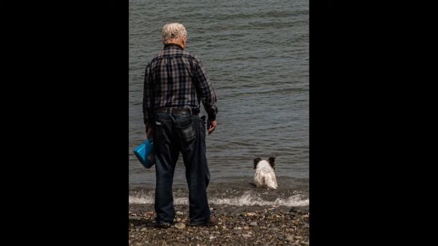 Olympus E-400 Images from Bray, Co Wicklow смотреть онлайн