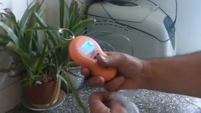 Сколько весит первое яйцо курочки молодки. смотреть онлайн