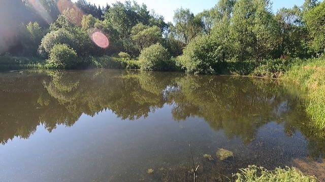 КАРАСЬ НА ПРИЩЕПКУ смотреть онлайн