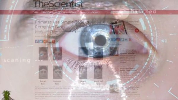 17 Surprising Human Like Behaviors in Animals