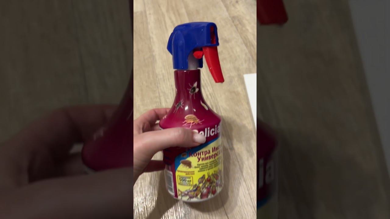 Я даже не хочу называть, кого мы 1 раз видели, чтобы затеять такое благо, больше не видели смотреть онлайн