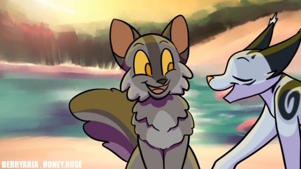 ✦EX-WIVES | A COMPLETE WARRIORS MAP✦