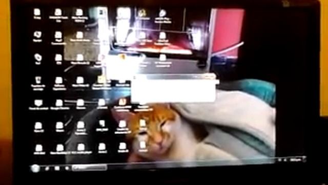 Vendo Phenom ii x6 1100T смотреть онлайн