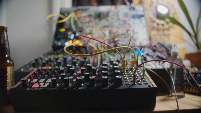 Moog Subharmonicon + Eurorack [ A Subtle Paintbrush ]