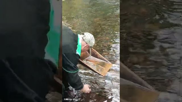 Ищем золото