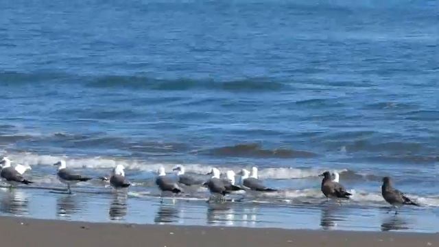 Морской прибой смотреть онлайн