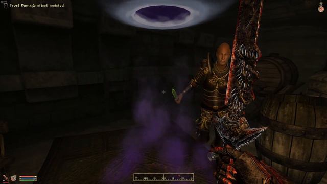 Oblivion - Episode 12 - Jim the Goblin смотреть онлайн