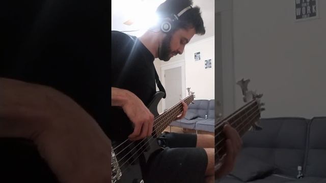 Crash Test Dummies - Mmm, Mmm, Mmm, Mmm | Bass Cover