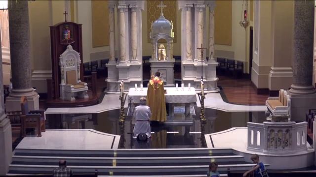 Memorial of Saint Boniface - Cathedral of the Immaculate Conception смотреть онлайн